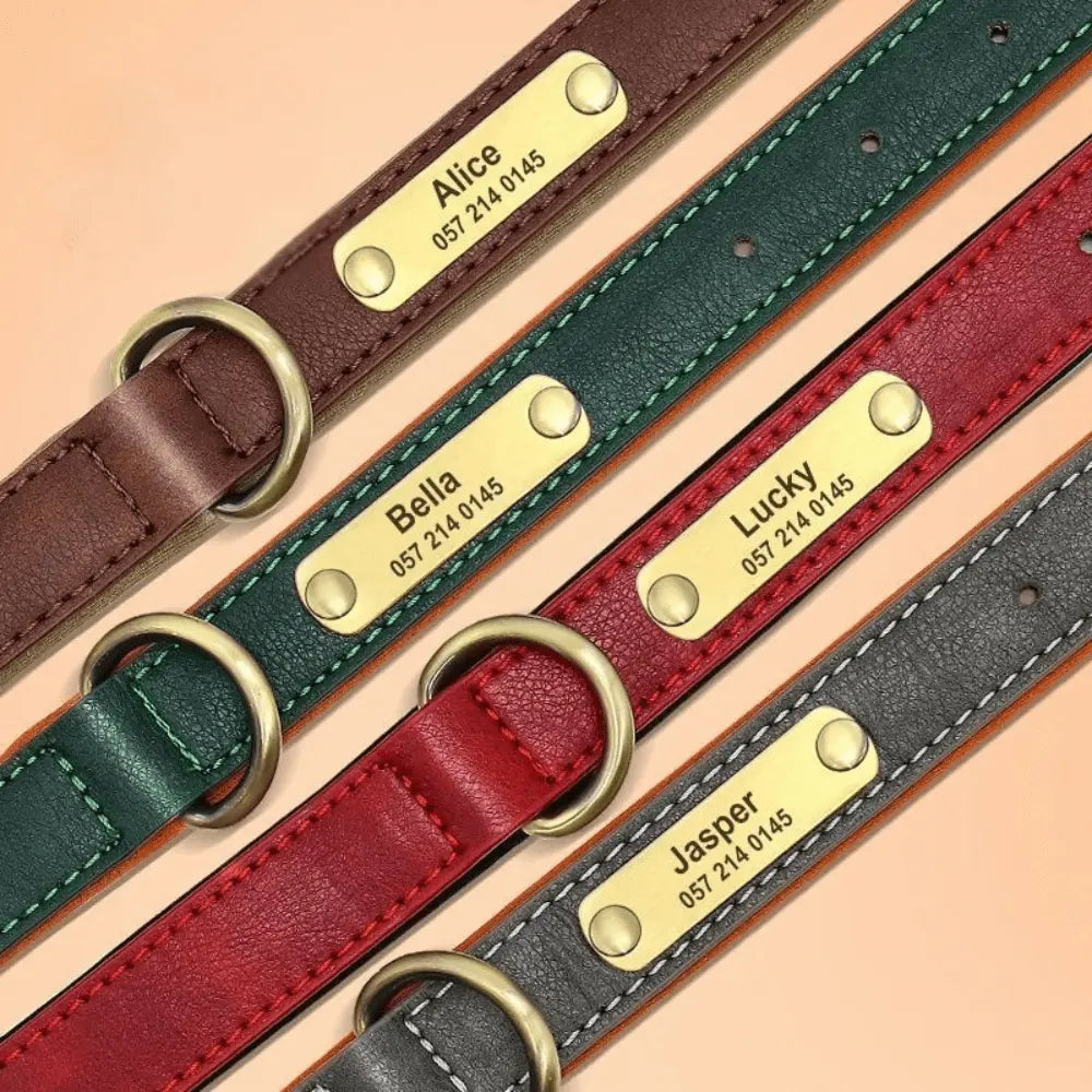 Läderhalsband med namnskylt