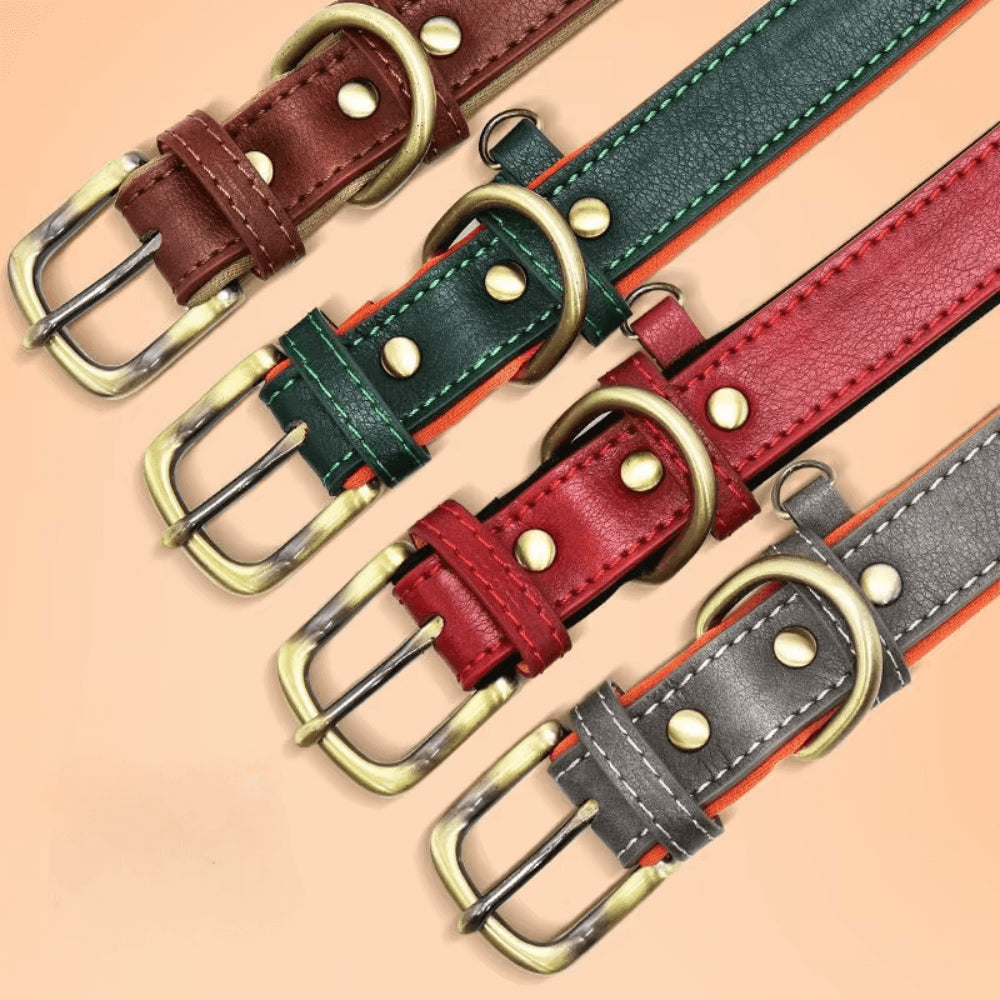 Läderhalsband med namnskylt
