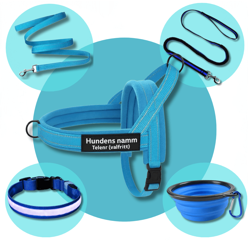 Dog control pro 2.0 promenadpaketet