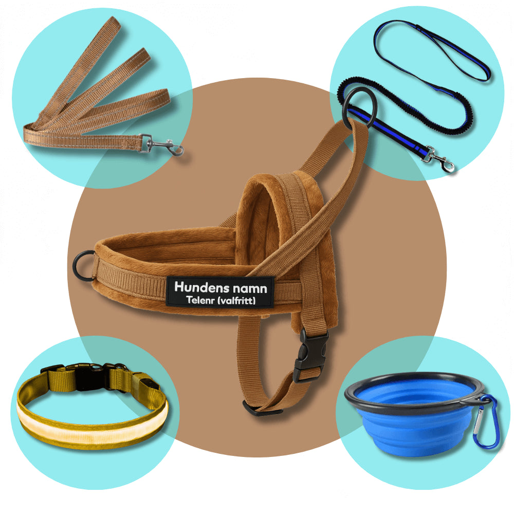 Dog control pro 2.0 promenadpaketet