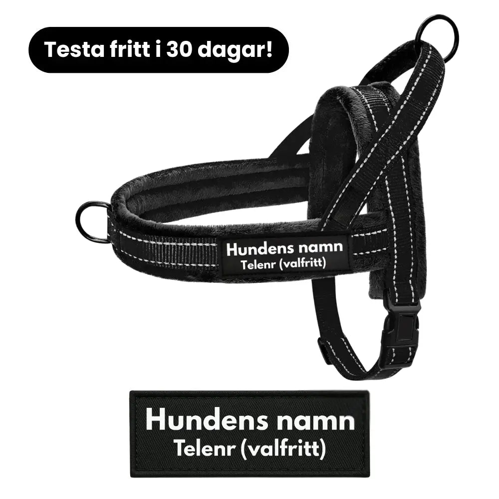 Dog control pro 2.0 med namnlapp