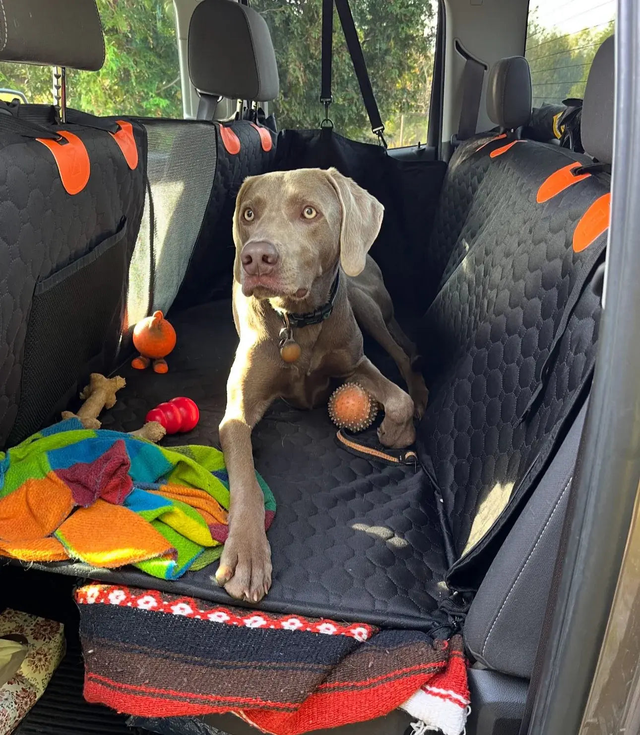 Baksäteskojan 2.0 - Hårdbotten Baksätesförlängare + (Gratis hundbälte)