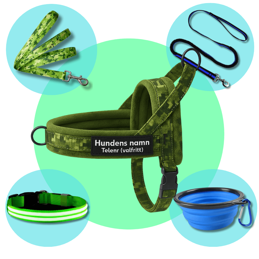 Dog control pro 2.0 promenadpaketet