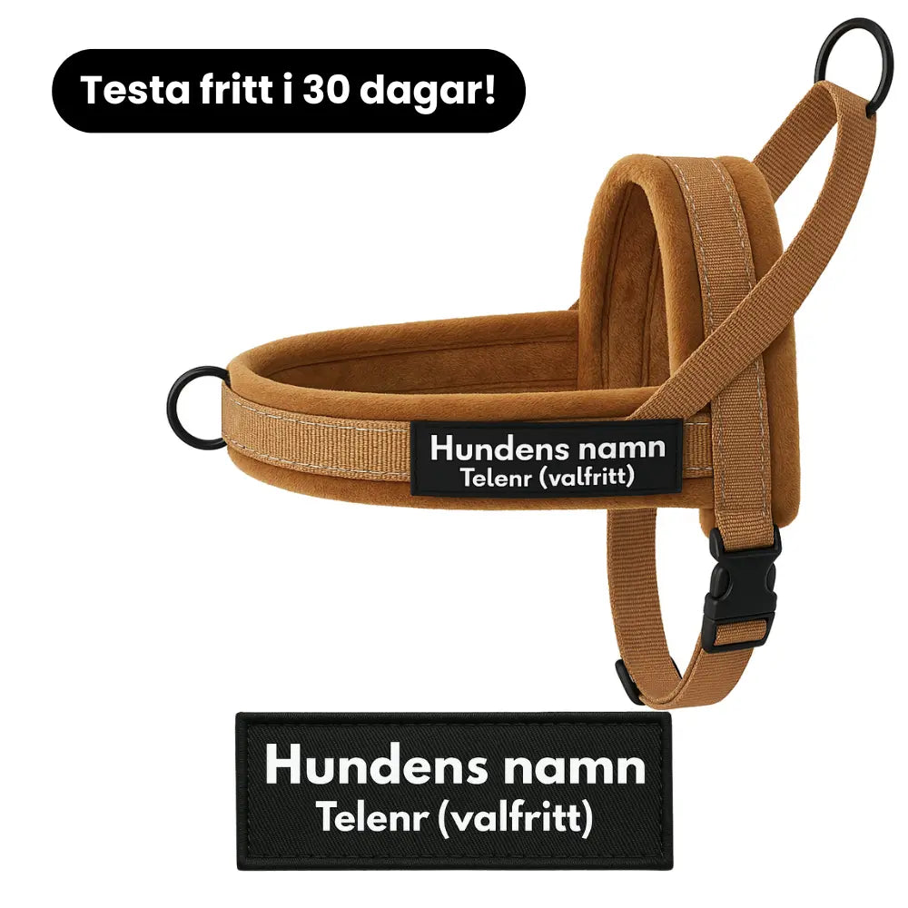 Dog control pro 2.0 med antidrag
