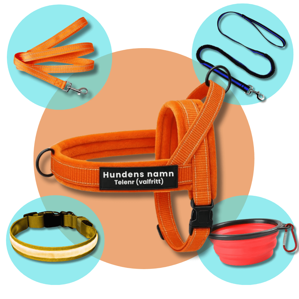 Dog control pro 2.0 promenadpaketet