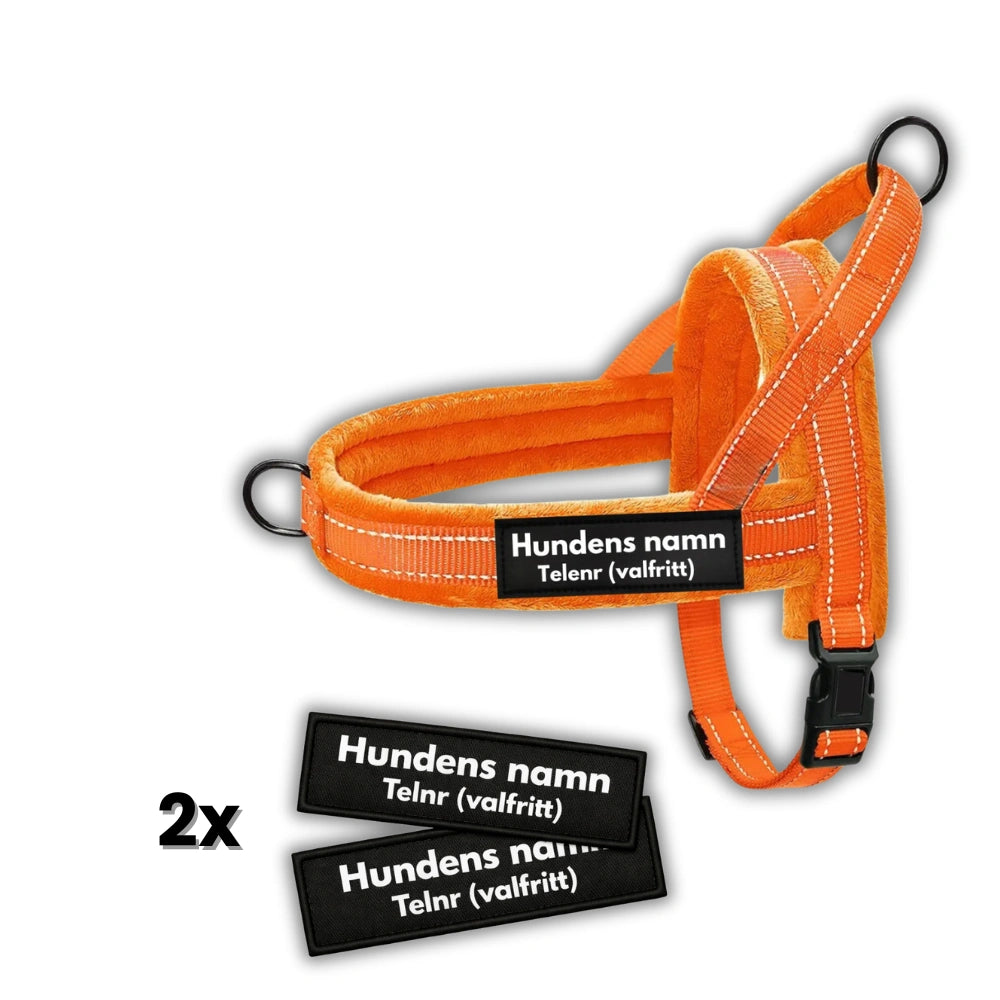 Dog control pro 2.0 med antidrag