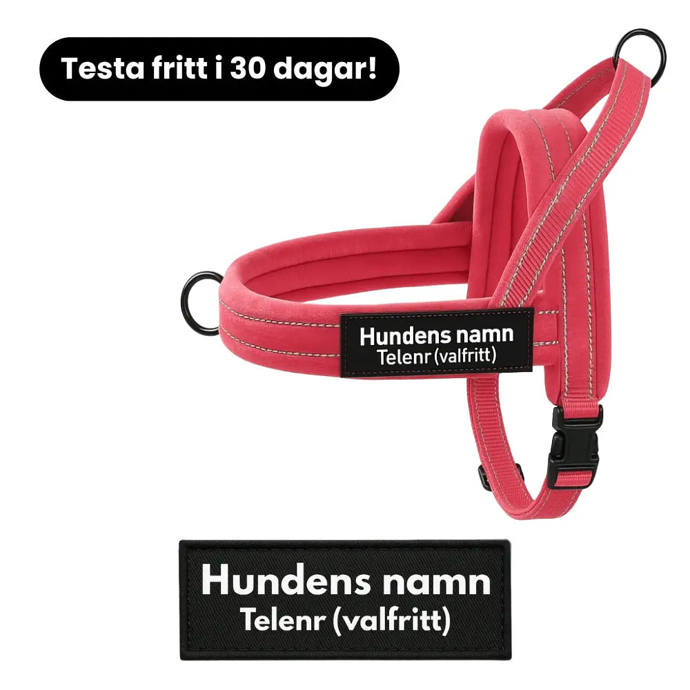 Dog control pro 2.0 med namnlapp