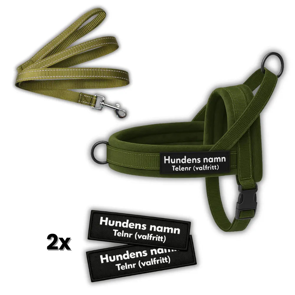 Dog control pro 2.0 med antidrag