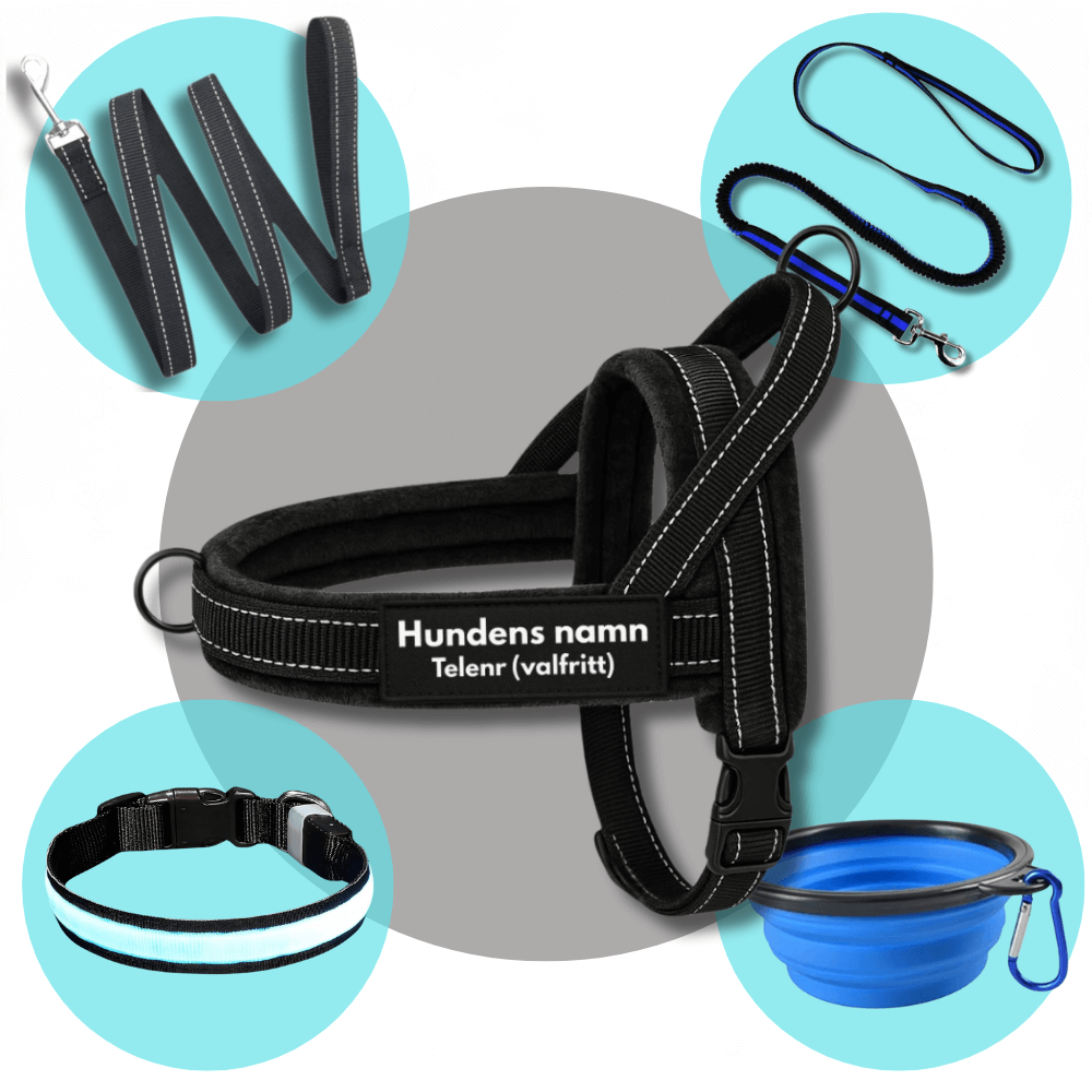 Dog control pro 2.0 promenadpaketet