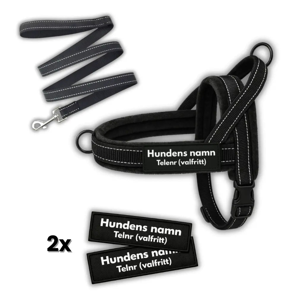 Dog control pro 2.0 med antidrag