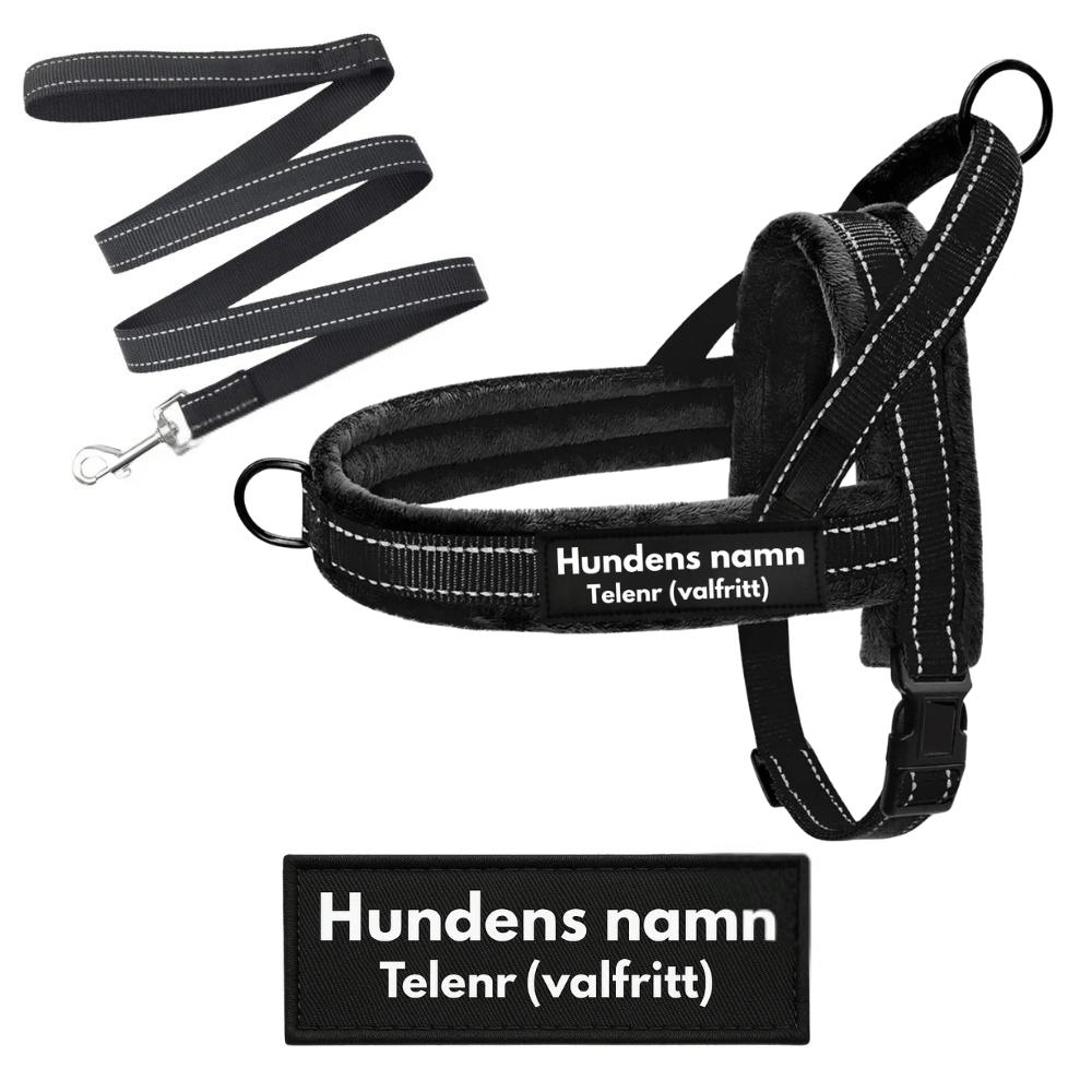 Dog control pro 2.0 med matchande koppel
