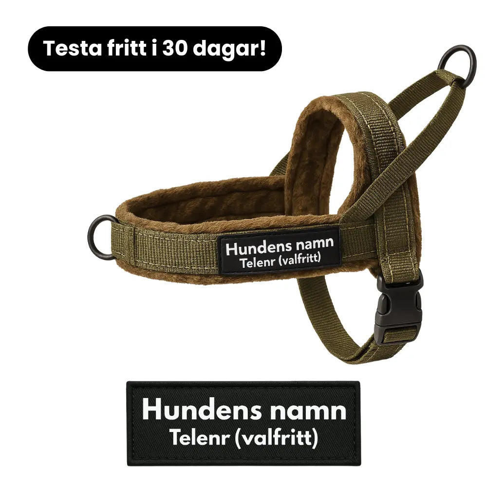 Dog control pro 2.0 med antidrag