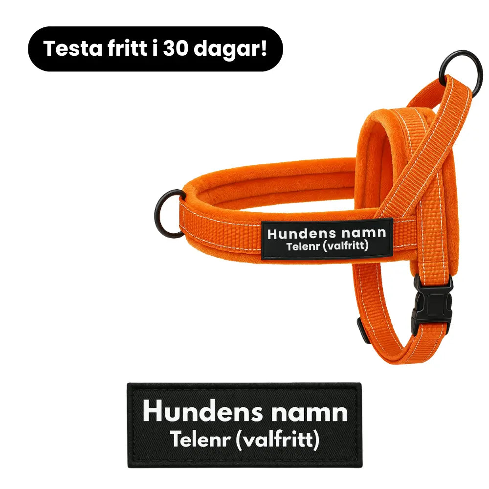 Dog control pro 2.0 med antidrag