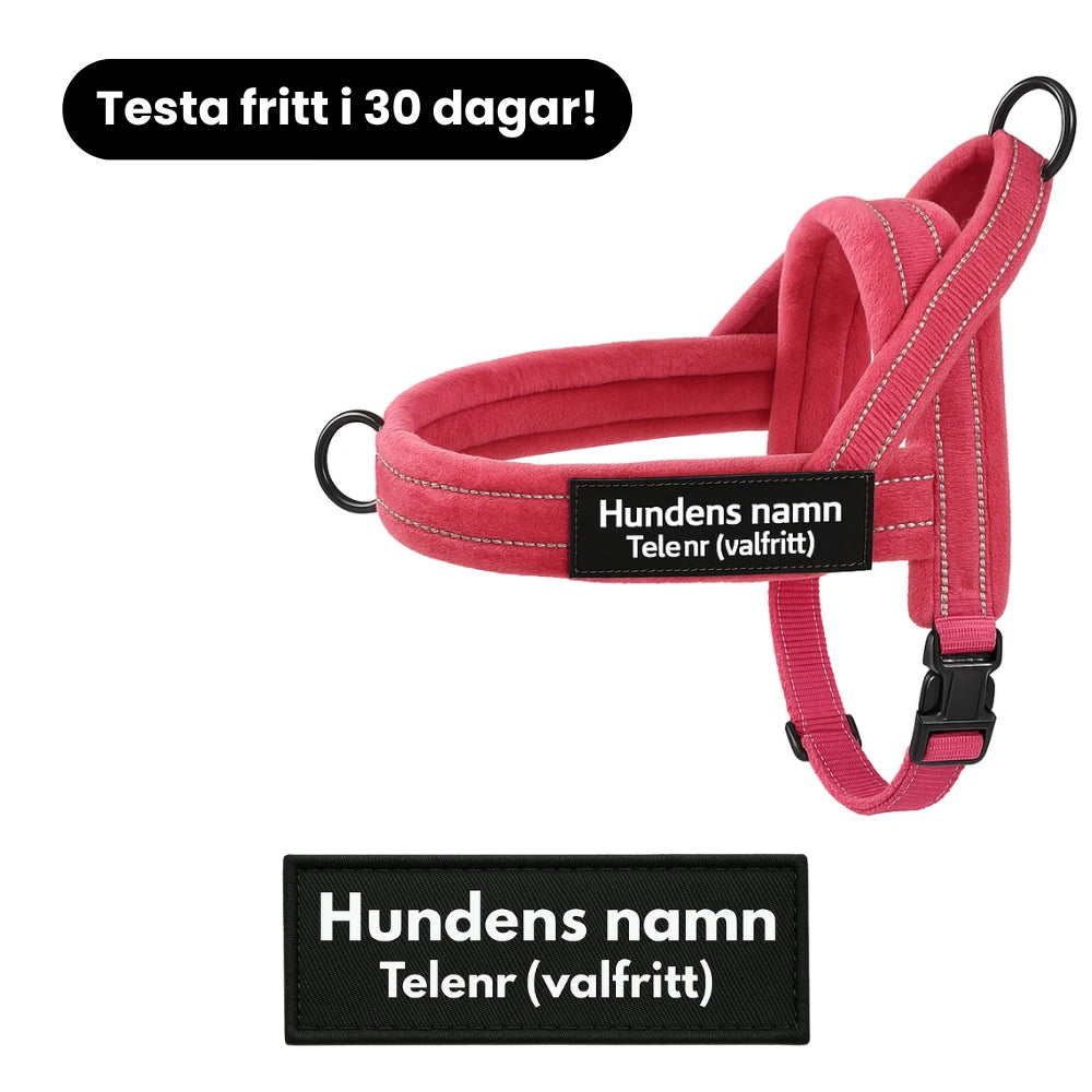 Dog control pro 2.0 med antidrag