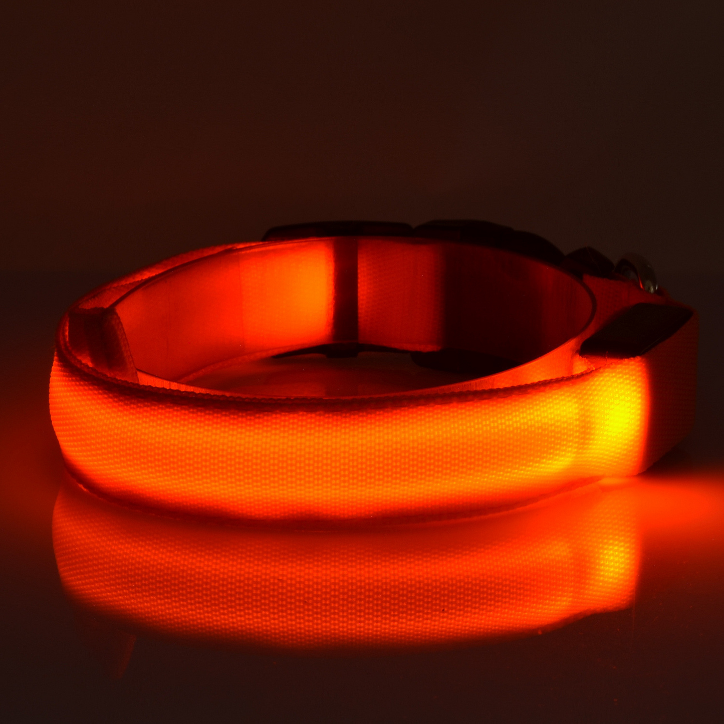 Led hundhalsband