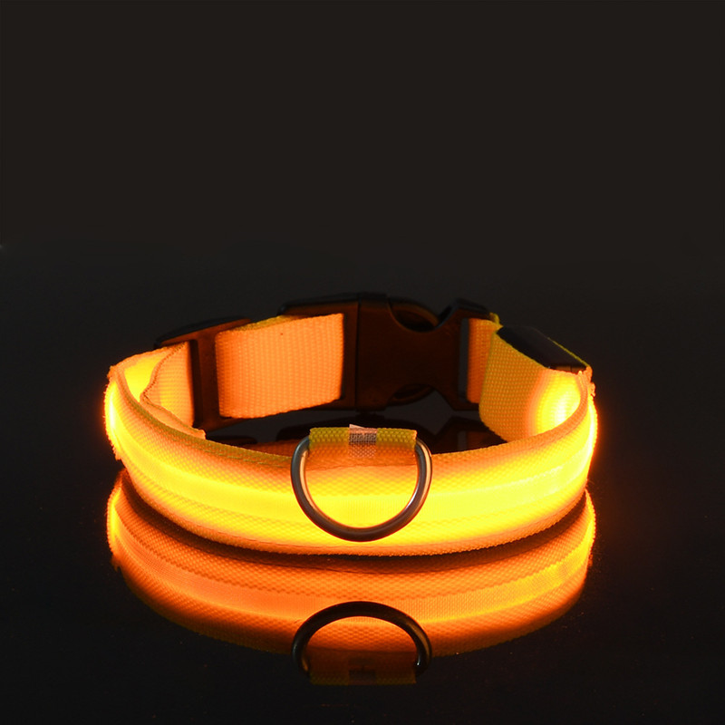 Led hundhalsband