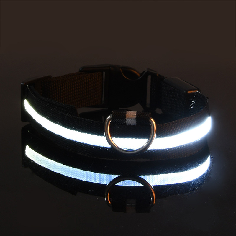 Led hundhalsband