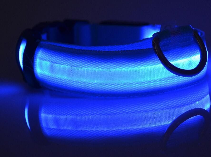 Led hundhalsband