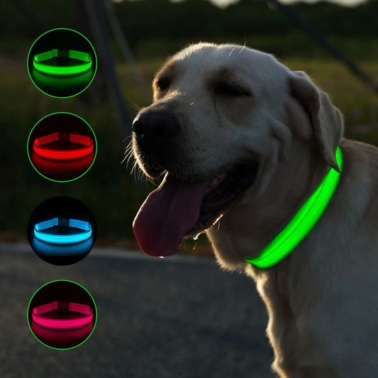 Led hundhalsband