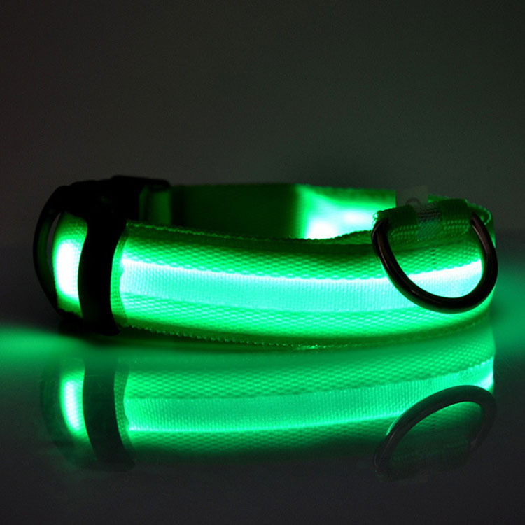 Led hundhalsband