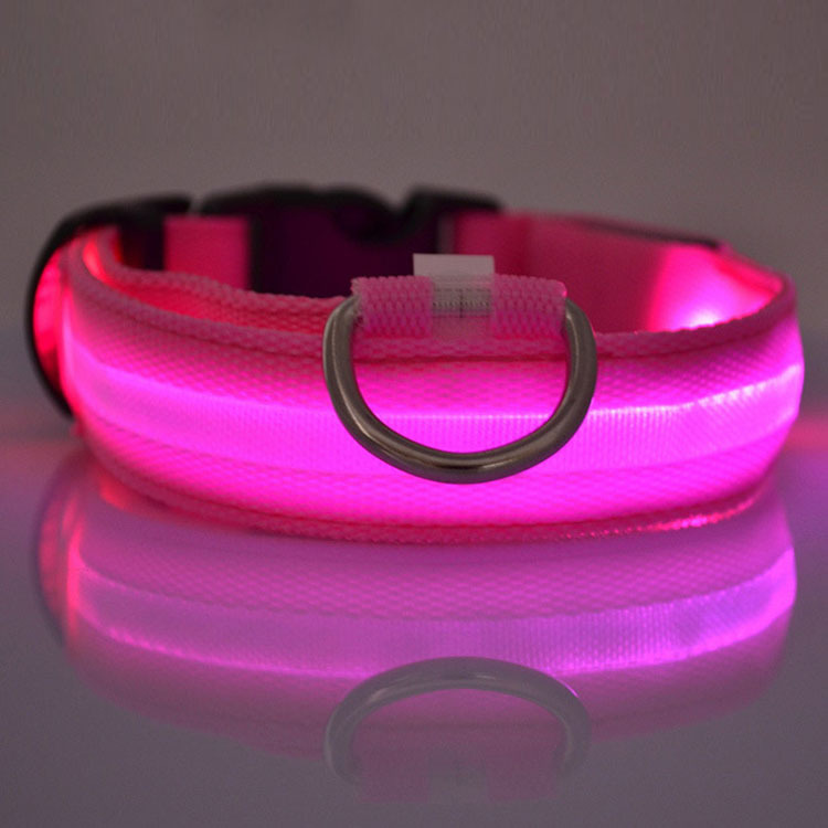 Led hundhalsband