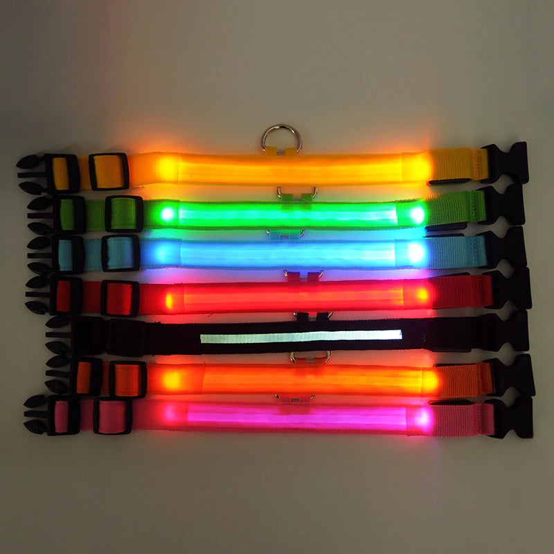 Led hundhalsband